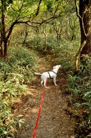 山登りも大好きです。